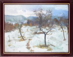 Zirkelbach László (1916-?): Téli gyümölcsös. Olaj, vászon, jelzett fakeretben, 60x80 cm