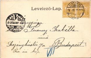 1901 Hatvan, kastély. Hoffmann M. L. kiadása