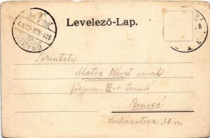 1901 Nagyszeben, Hermannstadt, Sibiu; Heltauergasse / Disznódi utca, Julius Wermescher üzlete, Trans...