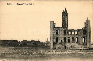 Duffel, Kasteel Ter Elst / castle ruins (EK)