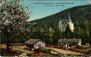 1915 Savanyúkút, Bad Sauerbrunn bei Wiener Neustadt; Hartig villa, vasútvonal. Hönigsberg Frigyes kiadása / villa, railway line (EK)