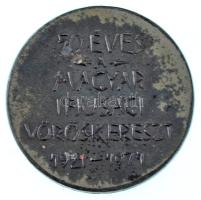 1971. "50 éves a Magyar Ifjúsági Vöröskereszt 1921-1971" ezüstpatinázott bronz emlékérem (...
