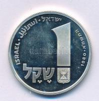 Izrael 1980. 1Sh Ag "Hanuka - Korfui menóra" kapszulában T:AU (eredetileg PP) folt Israel 1980. 1 Sheqel Ag "Hanukkah - Corfu Lamp" in capsule C:AU (originally PP) spotted Krause KM#110