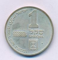 Izrael 1985. 1Sh Ag "Hanuka - Askenázi menóra" T:BU patina
Israel 1985. 1 Sheqel Ag &quot...