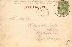 1907 Dunaföldvár, Kossuth Lajos utca, Jáger János-féle Nemzeti szálloda, bor és sörcsarnok, Janesch ...