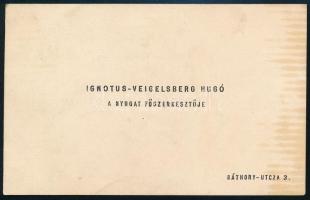 Ignotus Hugó, ( Veigelsberg Hugó 1869-1949.) költő, író és újságíró. autográf aláírása névjegykártyá...