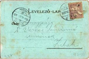 1900 Miskolc, Hámori tó. Geden A. 1298. Art Nouveau, floral, litho (fl)