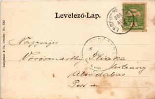 1906 Badacsony, Balaton. Kampmann & Co. (fl)