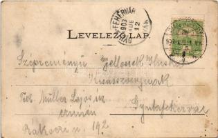 1903 Marosvásárhely, Targu Mures; Sörház utca, villa. Petróczy G. kiadása / street view, villa (fl)