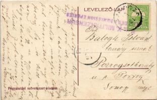 [FELVIDÉK] Berzevice, Brezovica nad Torysou (Sáros megye); kastély / castle (r)