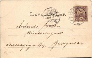 1901 Tenke, Tinca; Fő tér, Ferenc József utca, vasraktár, Rosenfeld Lajos boltja, Lévy Dávid üzlete ...