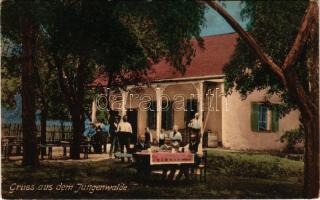 Nagyszeben, Hermannstadt, Sibiu; Gruss aus dem Jungenwalde / Erdei vendéglő, étterem. Hermine Frank kiadása / forest restaurant (fl)