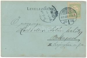 1902 Meggyesfalva, Mureseni; Üdvözlet Marosvásárhelyről! Megyesfalvi szeszgyár este. Holbach Ede kia...