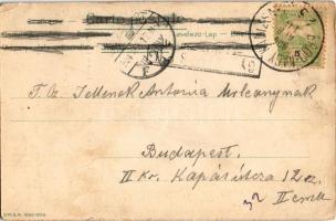 1904 Erdőd, Erdut; Rusevina u Erdutu / Ruine in Erdőd / várrom. Selzer és Rank kiadása, szecessziós-...