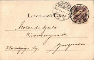 1901 Tenke, Tinca; Református templom. Lévy Dávid kiadása / Calvinist church (EK)