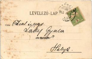 1905 Hátszeg, Hateg; Arany Bárány szálloda, piac / hotel, market (EB)