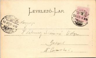 1899 (Vorläufer) Barcaság, Burzenland, Tara Barsei; Rosenauer Burg, Törzburg, Marienburg / Barcarozs...