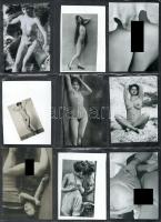 Vegyes összeállítás szolidan erotikus felvételekből, 18 db kisméretű nézőkép, modern nagyításban/kic...