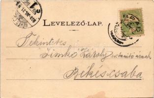 1903 Brád, Belváros, Fő tér, Berkovits üzlete / main square, shops (EM)