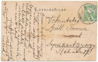 1912 Csíkszereda, Miercurea Ciuc; Alsó park részlete a Télifürdővel, Helvig G. János fürdőtelepe, Ka...