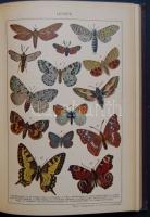 Tolnai Világlexikon I.-XI. kötetek számos színes képmelléklettel a Tolnai Nyomdai Műintézet kiadásáb...