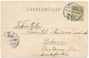 1905 Brassó, Kronstadt, Brasov; Rezső tér, szökőkút. Montázs urakkal, hölgyekkel és gyerekekkel / sq...