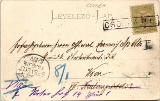 1904 Tátra, Magas-Tátra, Vysoké Tatry; Csorba-tó / Csorba-See / Strbské pleso / lake (EK) + "CS...