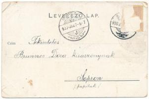 1900 Brassó, Kronstadt, Brasov; látkép. W. Hiemesch kiadása, szecessziós-virágos litho keret / gener...