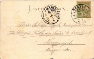 1903 Brassó, Kronstadt, Brasov; látkép. F. Reiser kiadása / general view (b)