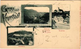 1899 (Vorläufer) Brassó, Kronstadt, Brasov; Blick von der Postwiese auf die Zinne, Bergkirche, Schloßberg. Verlag v. H. Zeidner, Lichtdruck v. Schäfer / kilátás a Postarétről a Cenk felé, templom, Fellegvár / general view, church. Art Nouveau, floral (vágott / cut)