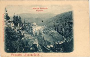 ~1903 Borszék, Borsec; Bagolyvár. Bogdánffy István kiadása / Cetatea Bufnitelor (EK)