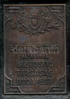 cca 1900-1920 Első Magyar Általános Biztosító Társaság bőr irattartó, fém plakettel, 22,5x15,5 cm