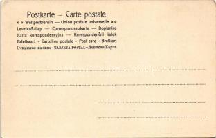 Brassó, Kronstadt, Brasov; Evangélikus gimnázium, Honterus szobor / Gimnaziul evangel., Statua lui H...