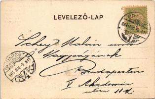 1904 Brassó, Kronstadt, Brasov; Blick vom Königsweg / látkép a Király útról / general view (EK)