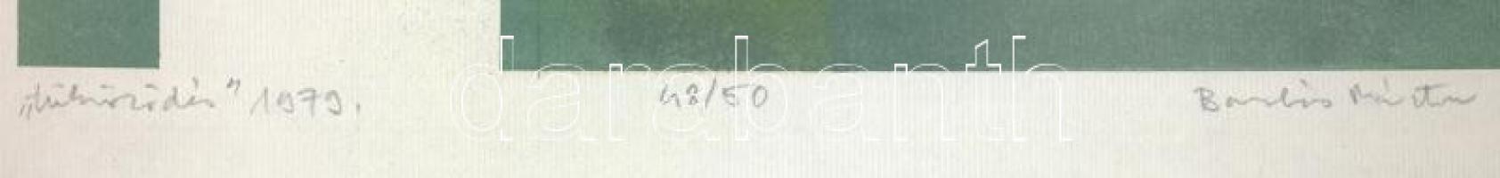 Barabás Márton (1952-): Tükröződés, 1979. Ofszet-litográfia, papír, jelzett és számozott (48/50). Az...