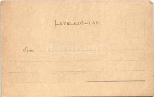 Brassó, Kronstadt, Brasov; Honterus szobor és városháza. Julis Müller's Nachfolger Tartler &amp...