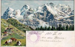 Wengeralp Litho s: Steinmark