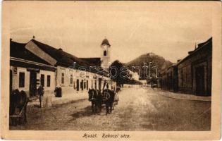 1917 Huszt, Chust, Khust; Rákóczi utca, üzlet / street, shop (fa)