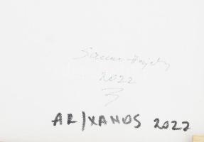 Samu Hajnalka (?-): Sailing (vitorlások). Akril, vászon. Jelzett a hátoldalán. 38x55 cm