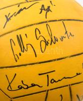 Vízilabda gálamérkőzésem magyar vizalabdázók, olimpiai és világbajnok sportolók által aláírt vízilab...