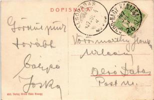 1907 Eszék, Osijek, Essegg; Pogled na gornji grad sa Drave / Oberstadt von der Drau aus / Felsőváros...