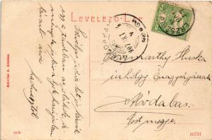 1907 Erzsébetváros, Dumbraveni; Erzsébet tér, Mühlsteffen Gusztáv üzlete. Scholtes A. 1836. (W.L. ?)...