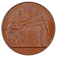 Ausztria 1873. "Bécsi Világkiállítás / Az érdem jeléül" bronz emlékérem. "FRANZ JOSEP...