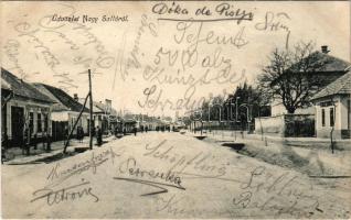 1907 Nagysalló, Tekovské Luzany, Tekovské Sarluhy; utca. Rubinstein Henrik kiadása / street (EK)