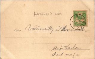 1902 Borszék, Borsec; Lobogó-fürdő / spa