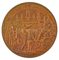 Ausztria 1888. "I. Ferenc József trónra lépésének 40. évfordulójára - Bécs városa" kétoldalas bronz emlékérem (62mm) T:AU,XF Austria 1888. "ZUR FEIER DES XL. JAHRESTAGES DES THRONBESTEIGUNG FRANZ JOSEPH I - DIE STADT WIEN / FAVTORI SVO AVGVSTISSIMO VINDOBONA AVCTA ET EXORNATA" double-sided bronze commemorative medallion (62mm) C:AU,XF