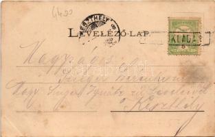 Püspökladány, látkép. Fénynyomat Divald műintézetéből (EB)