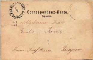 Derventa, Dervent; Gradska Moschee, Begova Moschee, Serbische Gasse und Kirche / mosques, Serbian st...