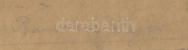 Rauscher Lajos (1845-1914): Táj. Rézkarc, papír. Jelzett. Paszpartuban. 5x12 cm