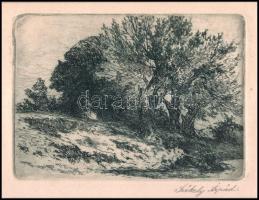 Székely Árpád (1861-1914): Táj. Rézkarc, papír, jelzett, paszpartuban, Székely Árpád autográf ajándé...